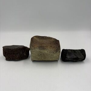 Fossilized Bone Vertebrae Fragments Lot Of 3 Dark Brown Black Fossils‎ Specimens